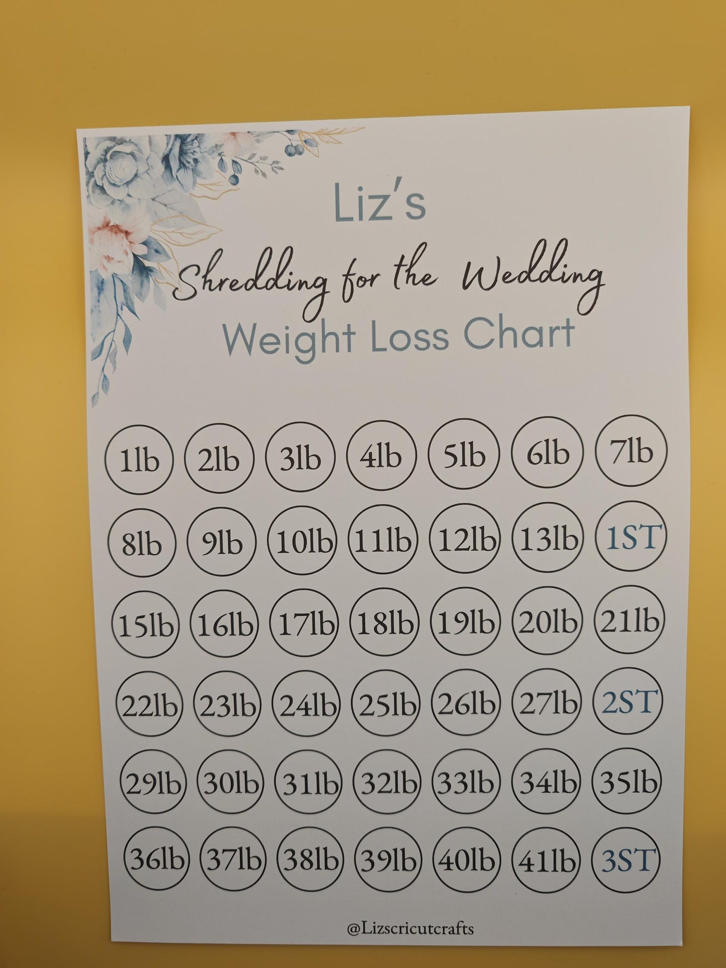 Weight loss target Tracker chart - gold stars included to mark your progress