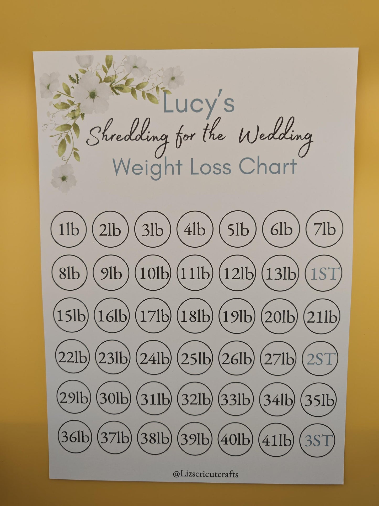 Weight loss target Tracker chart - gold stars included to mark your progress